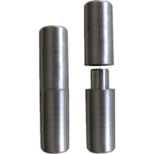 Menteşe Çeşitleri